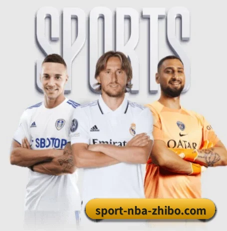 本站五个常用功能入口,赛程查询路径更短 - 多运动项目内容板块 - sports